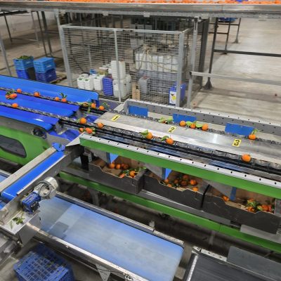 WhatsApp Image 2026-02-18 at 15.26.30 (4)