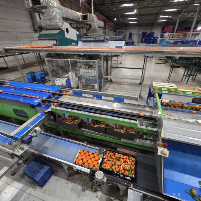 WhatsApp Image 2026-02-18 at 15.26.30