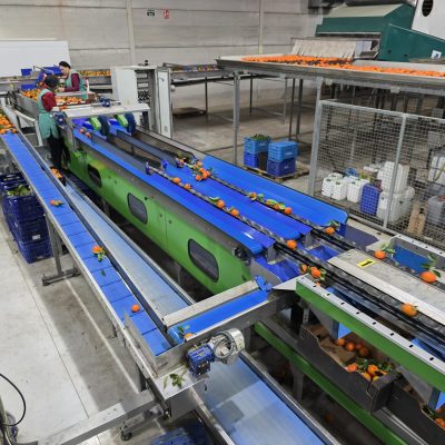 WhatsApp Image 2026-02-18 at 15.26.31