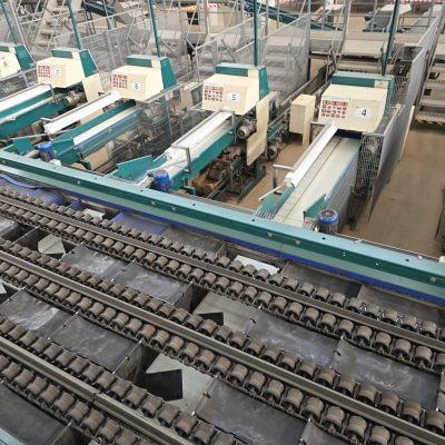 WhatsApp Image 2026-02-18 at 15.32.50 (3)