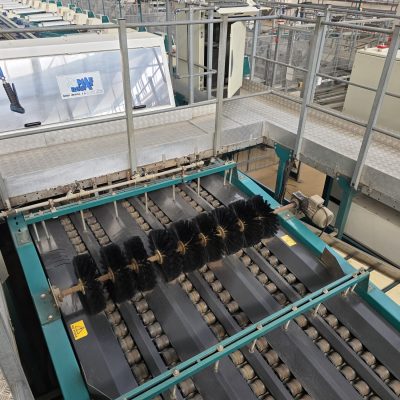 WhatsApp Image 2026-02-18 at 15.32.51 (2)