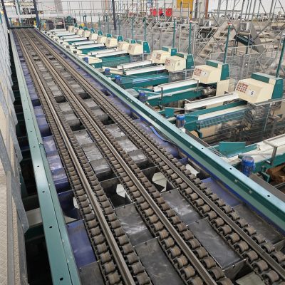 WhatsApp Image 2026-02-18 at 15.33.00