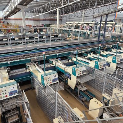 WhatsApp Image 2026-02-18 at 15.33.02 (5)