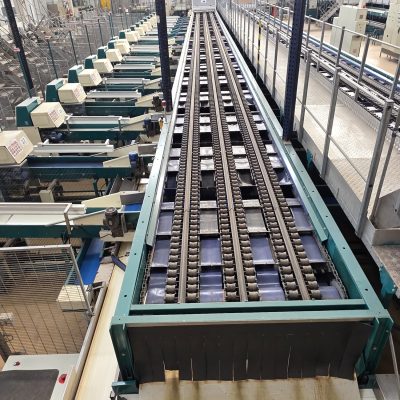 WhatsApp Image 2026-02-18 at 15.33.03 (1)