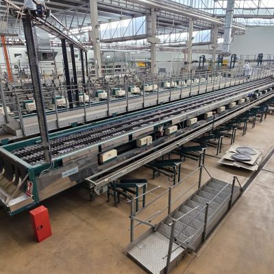 WhatsApp Image 2026-02-18 at 15.33.04 (2)