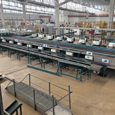 WhatsApp Image 2026-02-18 at 15.33.04 (4)