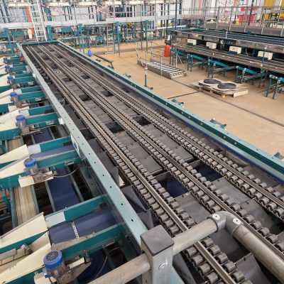 WhatsApp Image 2026-02-18 at 15.33.06 (1)