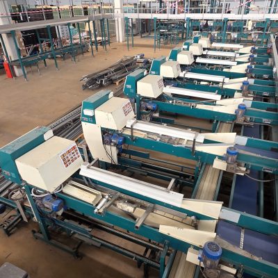 WhatsApp Image 2026-02-18 at 15.33.06