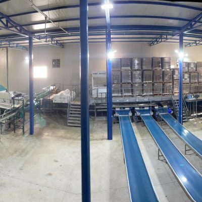 WhatsApp Image 2026-02-19 at 10.25.49 (1)