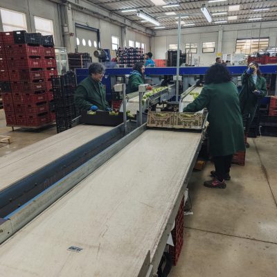 WhatsApp Image 2026-03-18 at 10.56.53 (1)