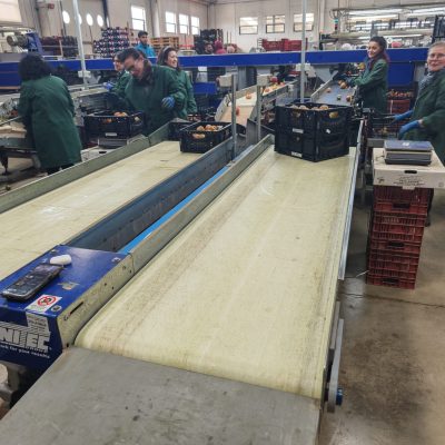 WhatsApp Image 2026-03-18 at 10.56.53 (2)