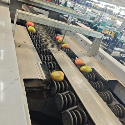 WhatsApp Image 2026-03-18 at 10.56.53 (6)