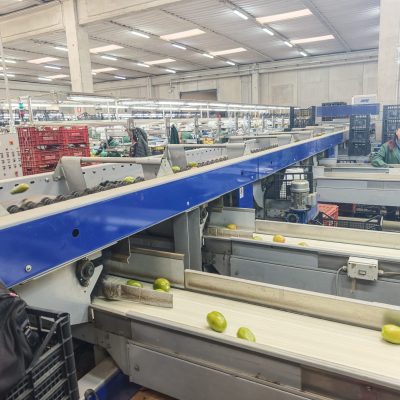 WhatsApp Image 2026-03-18 at 10.56.53