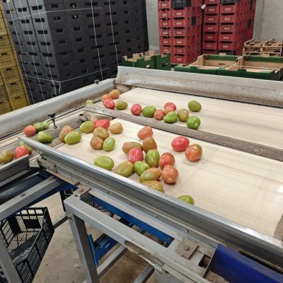 WhatsApp Image 2026-03-18 at 10.56.54 (1)