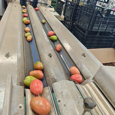 WhatsApp Image 2026-03-18 at 10.56.54