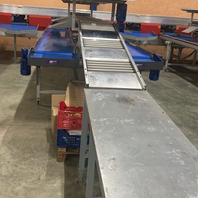 WhatsApp Image 2026-03-20 at 20.12.11 (8)