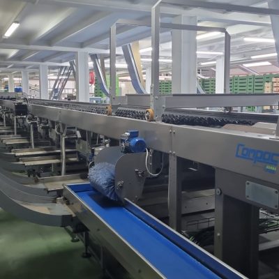 WhatsApp Image 2026-03-27 at 18.45.23 (5)