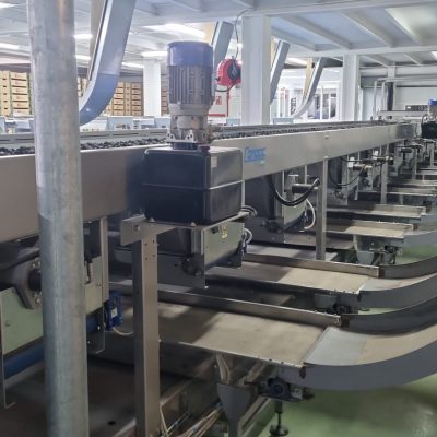 WhatsApp Image 2026-03-27 at 18.45.23 (6)