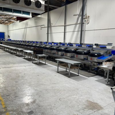 WhatsApp Image 2026-03-30 at 00.49.45 (3)