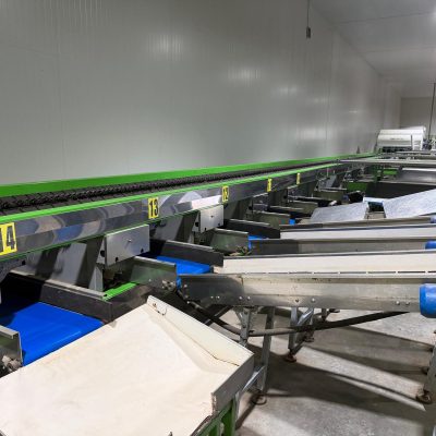 WhatsApp Image 2026-04-17 at 13.16.20 (1)