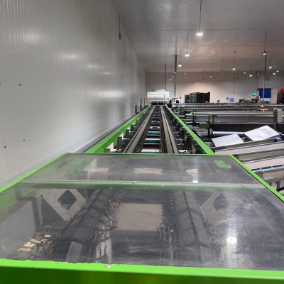 WhatsApp Image 2026-04-17 at 13.16.20