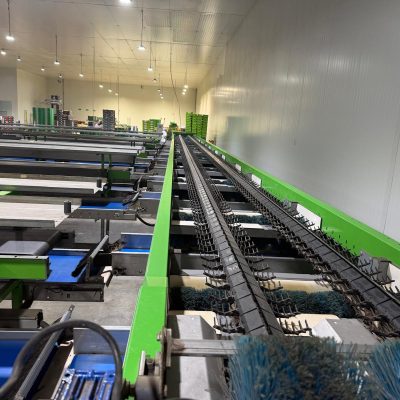 WhatsApp Image 2026-04-17 at 13.16.22 (1)