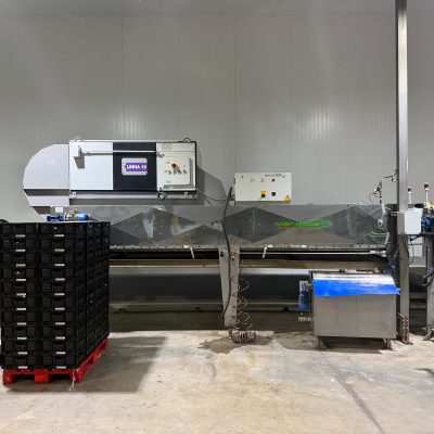 WhatsApp Image 2026-04-17 at 13.16.24