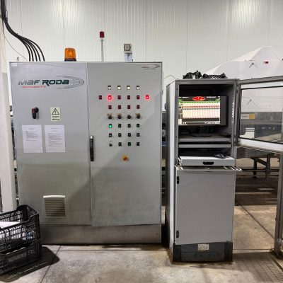 WhatsApp Image 2026-04-17 at 13.17.42