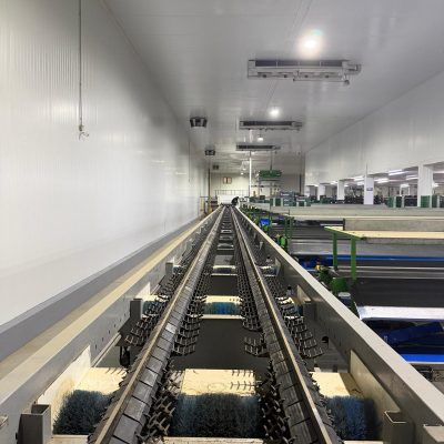 WhatsApp Image 2026-04-17 at 13.17.43 (1)