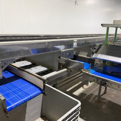 WhatsApp Image 2026-04-17 at 13.17.44