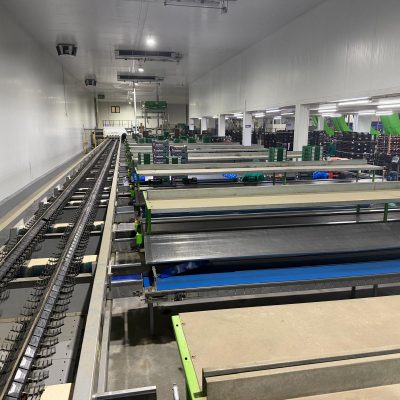 WhatsApp Image 2026-04-17 at 13.17.45