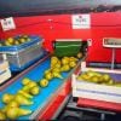 aweta-gmc4-9-grading-machine-with-stas-water-unloader-for-apples-and-pears-185848(15)