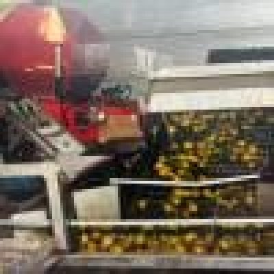 aweta-gmc4-9-grading-machine-with-stas-water-unloader-for-apples-and-pears-185848(9)